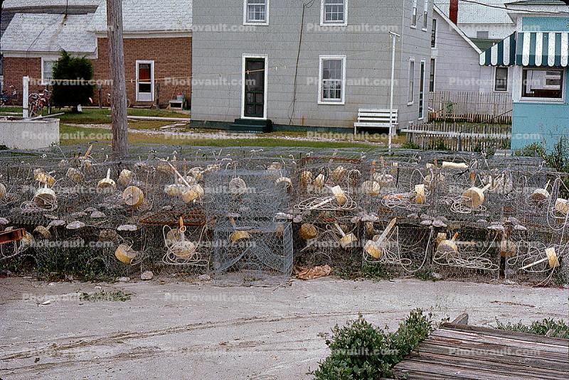 Crab Pots, Traps, Crabbing, July 1974, 1970s
