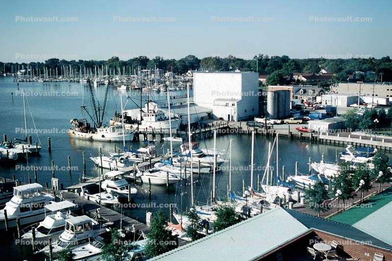 docks, buildings, fishing boat, Hampton