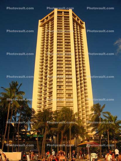 building, highrise, high rise, tall, urban, palm trees, Waikiki, Honolulu