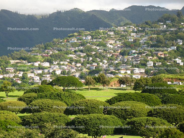 homes, houses, trees, hills, Honolulu, Oahu