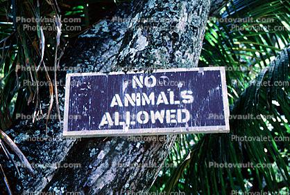 No Animals Allowed