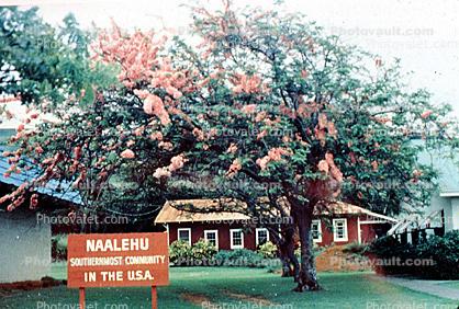 Naalehu, Southernmost community in the USA, tree, building