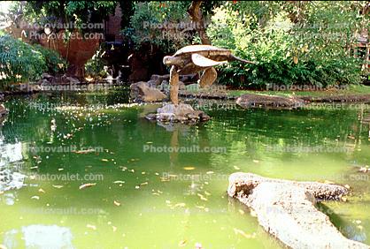 pond, turtle, water, garden, trees