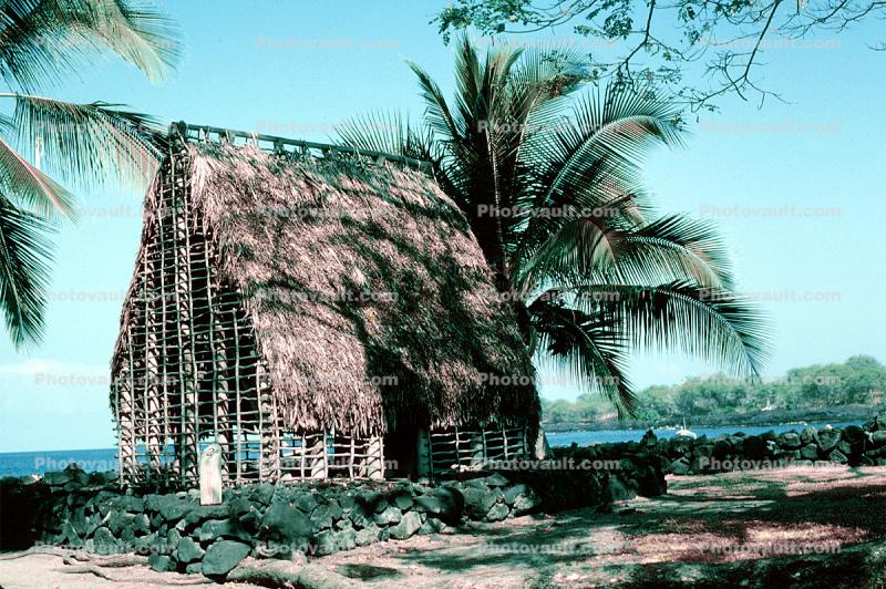 Palm tree roof, hut, building, Thatched Roof House, Home, grass roof, Hale O Keawe, Pu'uhonua o Honaunau National Historical Park, grass hut, shack, trees, Thatched Roof building, Sod