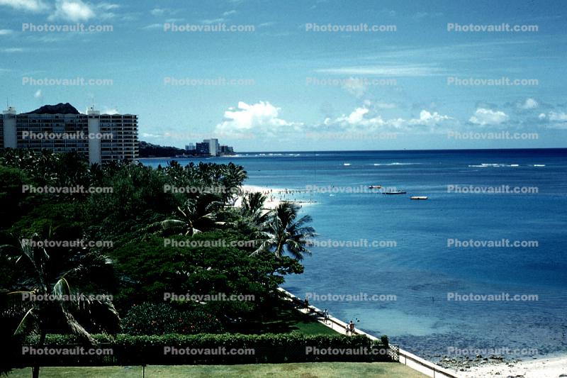palm trees, beach, sand, Waikiki