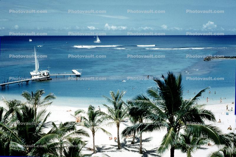 palm trees, beach, sand, dock, sailboat