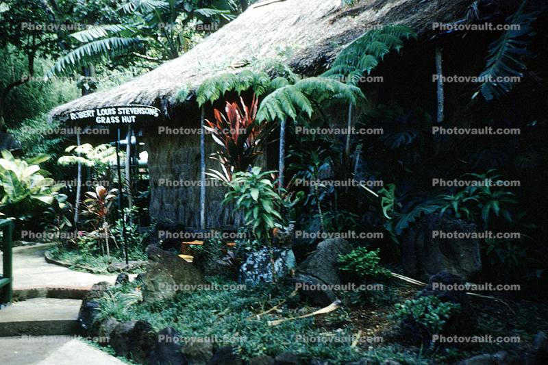 Grass thatched building, hut, grass, shack, trees, Thatched Roof building, Sod