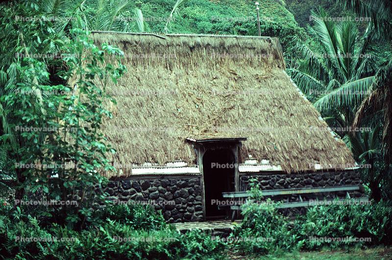 Grass Thatched House, Hut, Jungle
