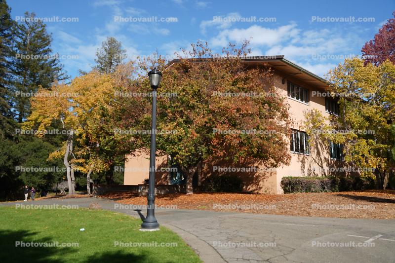 Path, Building, Mary T Morrison Hall, UCB, UC Berkeley, 7 November 2022