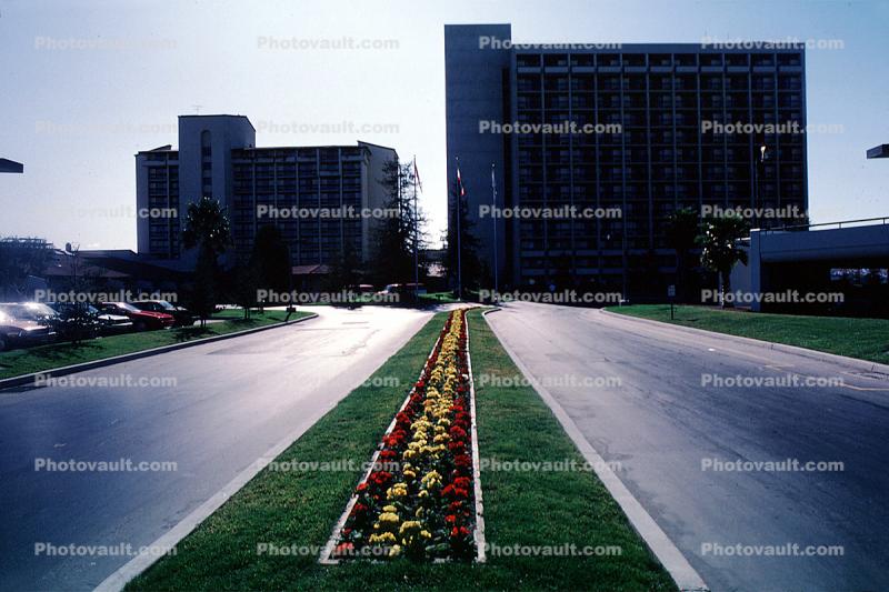 Sunnyvale, Silicon Valley, Grass, Flowers, Road