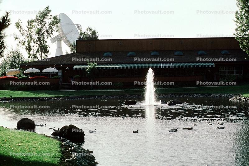 Water Fountain, aquatics, Pond, Building, Sunnyvale, Silicon Valley