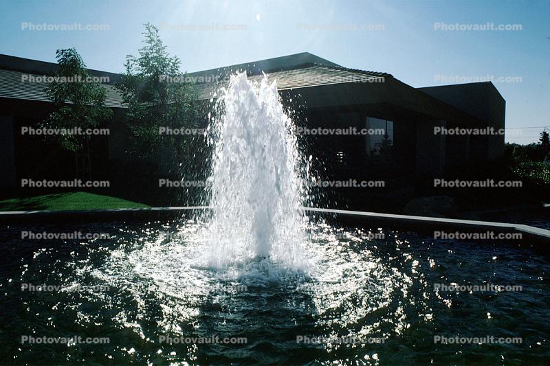 Water Fountain, aquatics, Pond, Pool, Buildings, Sunnyvale, Silicon Valley, October 1985