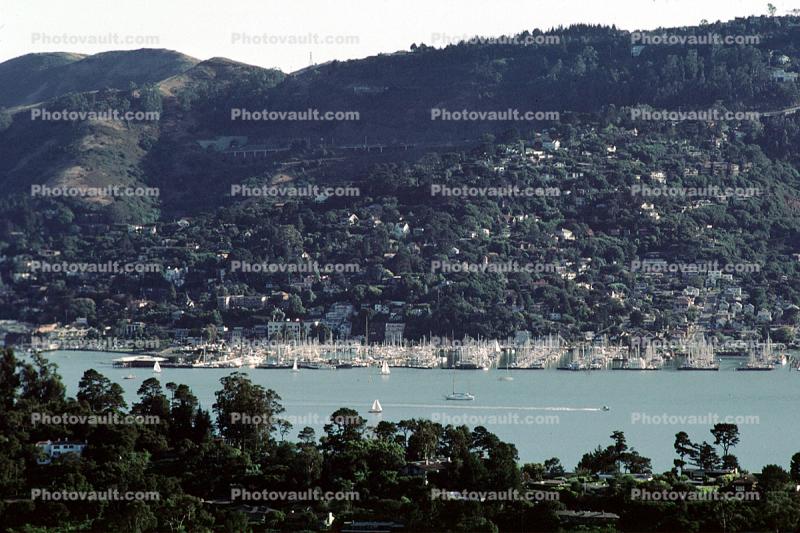 Belvedere, Sausalito, Docks, boats, homes, houses, shore, shoreline