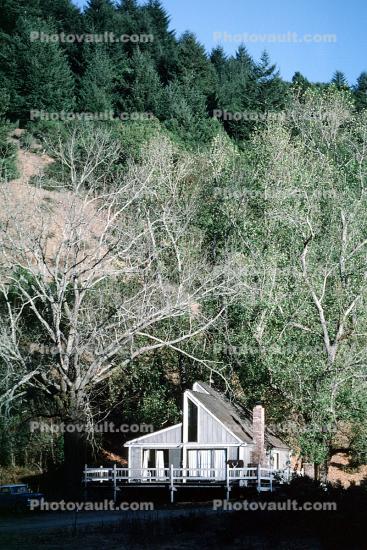 Home, House, Building, Trees, Woodlands, Stinson Beach, Marin County