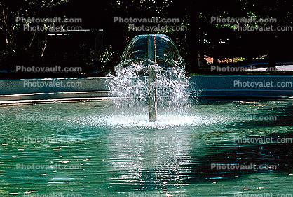 Water Fountain, aquatics