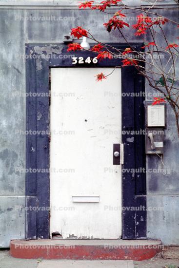 Door, Doorway, Entrance, 5246, Poinsettia