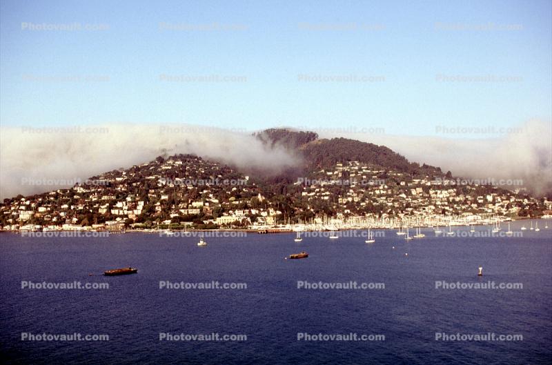 Fog, Boats, Harbor, Hill, Homes, Houses, Sausalito