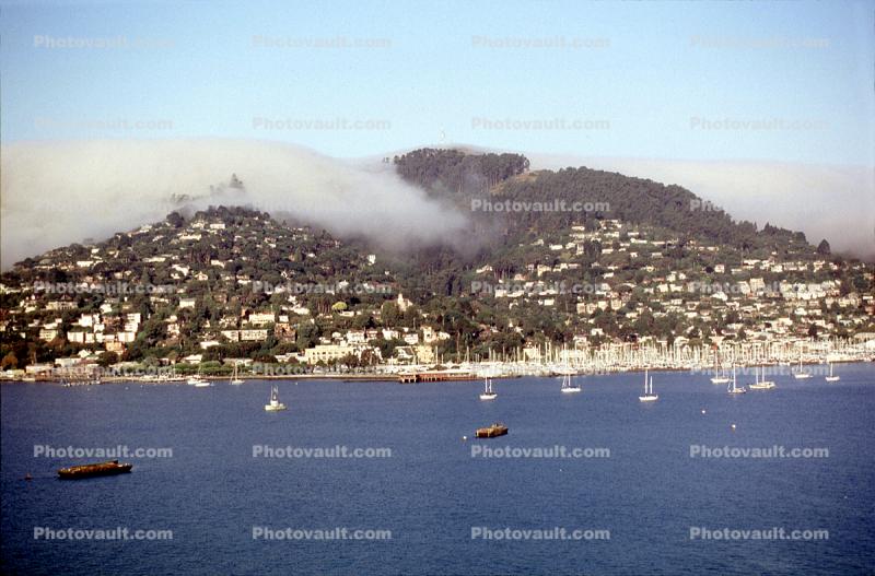 Hill, Homes, Houses, Sausalito Harbor, boats, Hills, Fog, waterfront, buildings