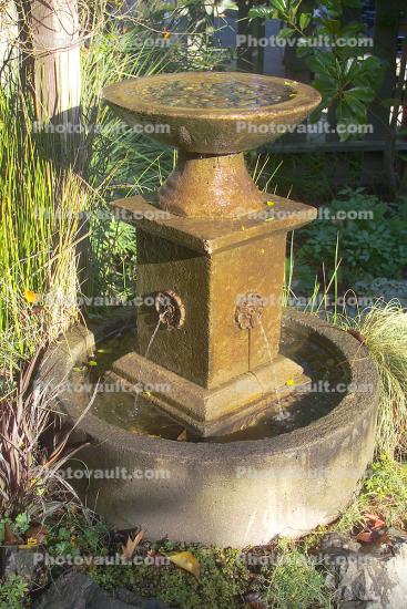 Water Fountain, aquatics, Cambria