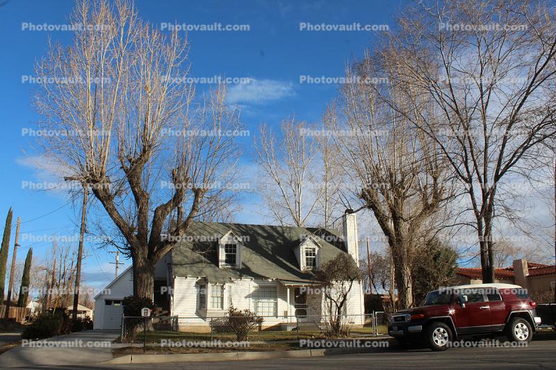 building, home, house, car, trees