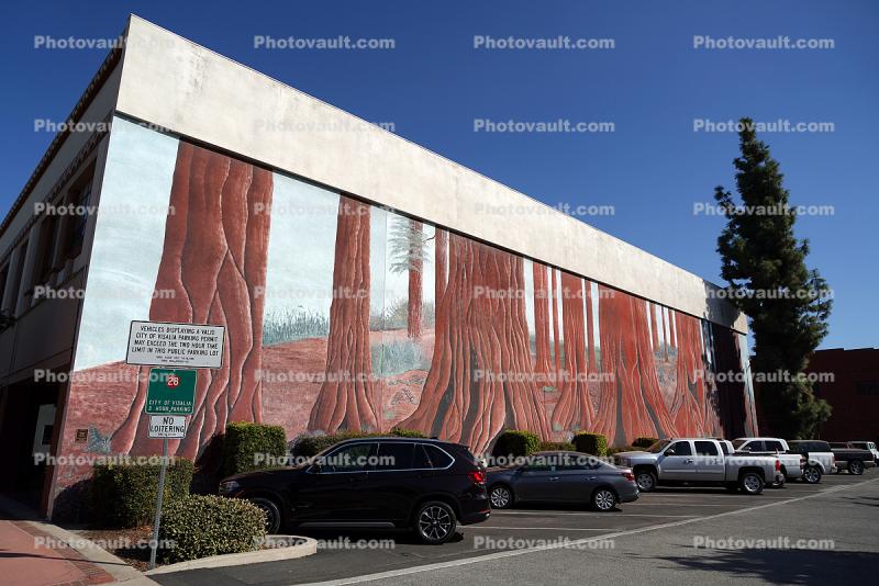 Mural, Sequoia Trees, Forest, cars, Downtown Visalia