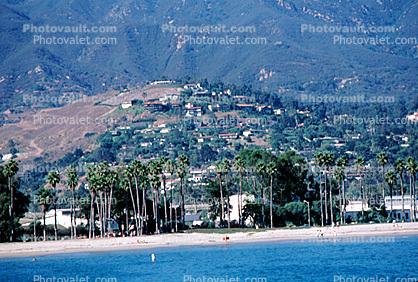 Homes, Hillside, Beach, palm trees, Pacific Ocean, mountains, coast, coastal, shoreline, seaside, coastline
