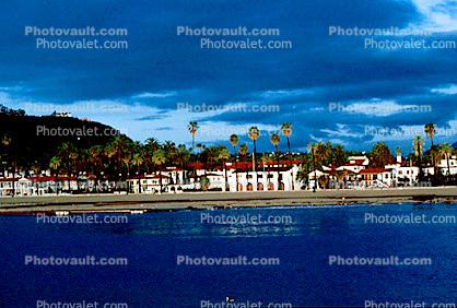 palm trees, Pacific Ocean, water, beach, coast, coastal, shoreline, building, hotel