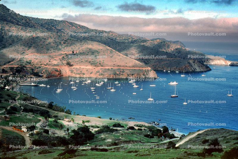 Catalina Island, Harbor