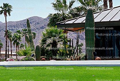 Home, house, cactus garden, lawn, roof, Palm Springs
