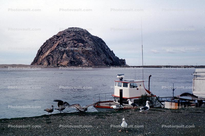 Morro Rock, Volcanic Plug, dock, harbor, January 1976, 1970s