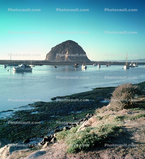 Morro Rock, harbor, shoreline, shore, coast, coastal, January 1976, 1970s