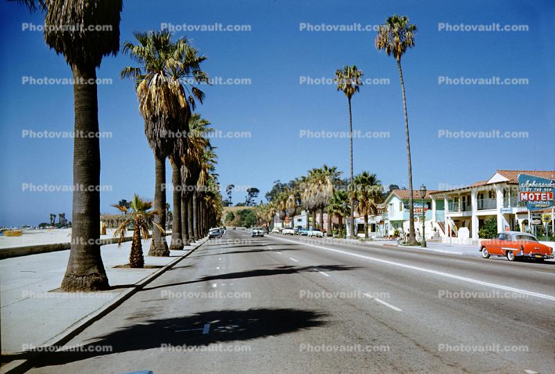 cars, tree-lined road, street, Ambassador by the Sea Motel, buildings, Santa Barbara, 1950s