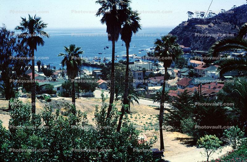 Avalon, Harbor, Santa Catalina Island, 1963, 1960s