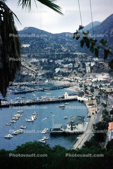 Avalon Harbor, Catalina Island, 1960s, Harbor
