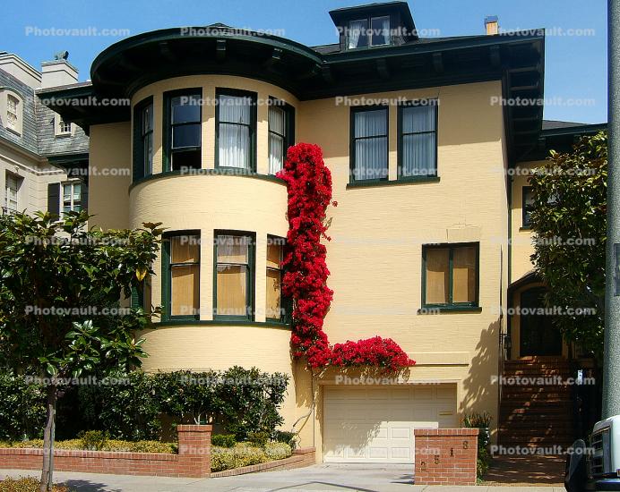 Bougainvillea, flowers, building, home, house, residential, The Letter-L, Pacific Heights, Pacific-Heights