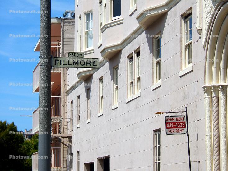 Fillmore Street, Cow Hollow