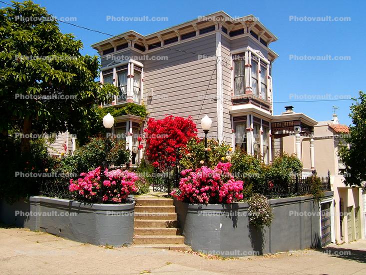 upper Castro, landmark, garden flowers, June 2005