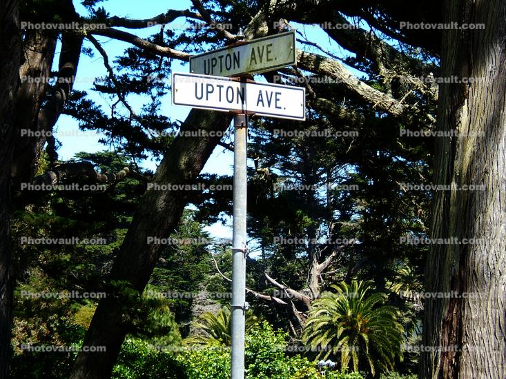 Presidio, Street Sign, intersection of Upton Avenue and Upton Avenue, June 2005