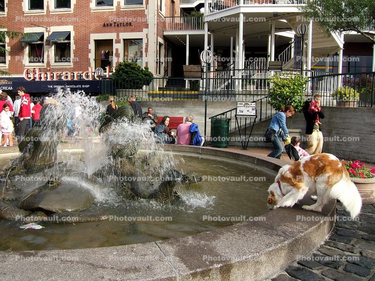 Fountain, Ghirardelli Square