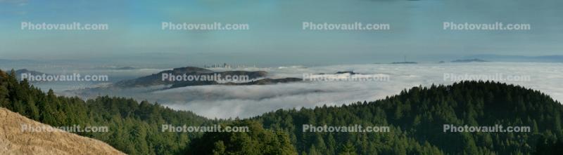 Panorama, Fog, skyline, Marin County