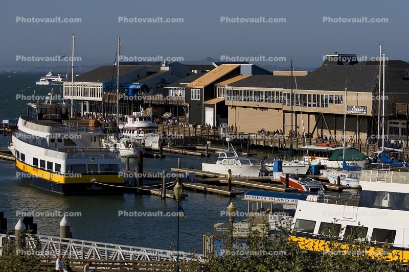Pier-39, Fishermans Wharf, Blue and Gold Fleet, harbor, docks, Blud & Gold fleet, buildings