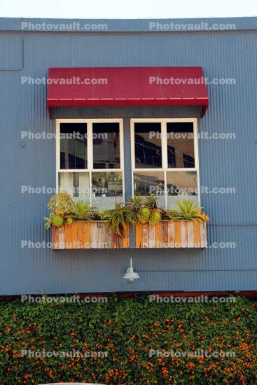 Window, flowers, awning, Awning, plants, planter, flowers