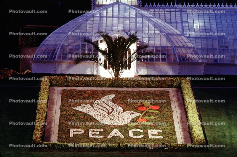 Peace, Conservatory Of Flowers, Equanimity
