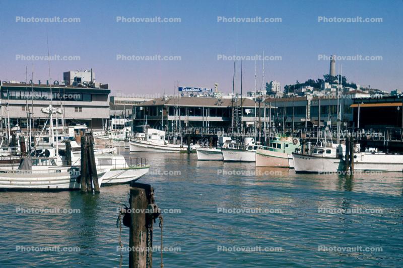 Fishing Boats at the Docks, buildings, Coit Tower