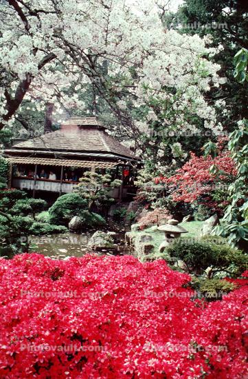 Blossoms, Hakone Japaneses Tea Garden, golden Gate Park, building, detail