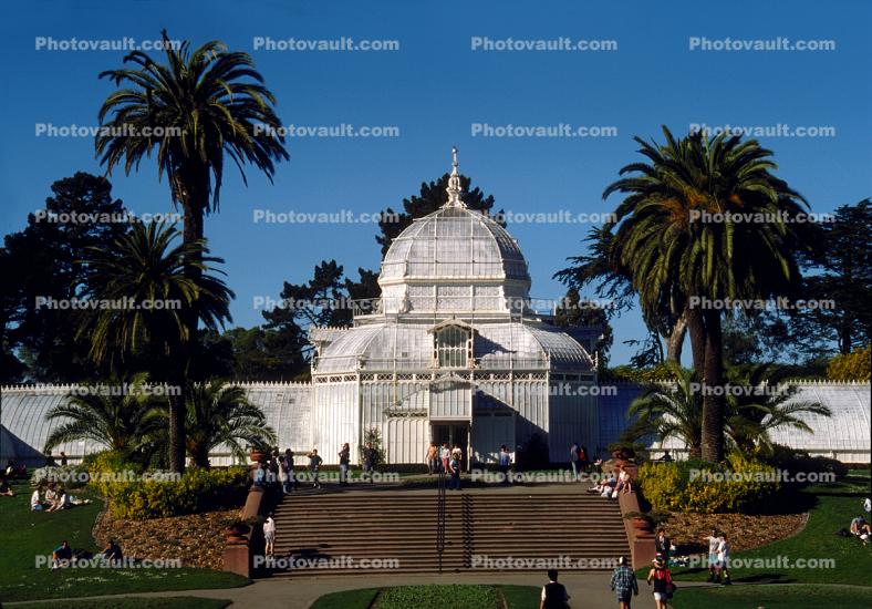 Conservatory Of Flowers, Palm Trees