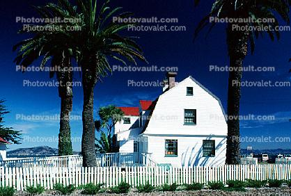 Picket Fence, House, Building, Palm Tree