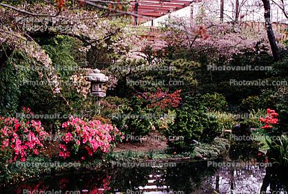 Japanese Tea Garden, 1965, 1960s