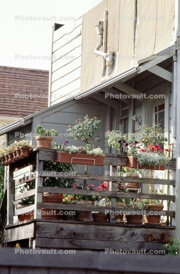Flower Pots, Railing, Porch