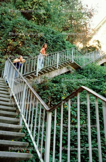 Filbert Street Steps, Telegraph Hill, Staircase, Stairs, Jungle